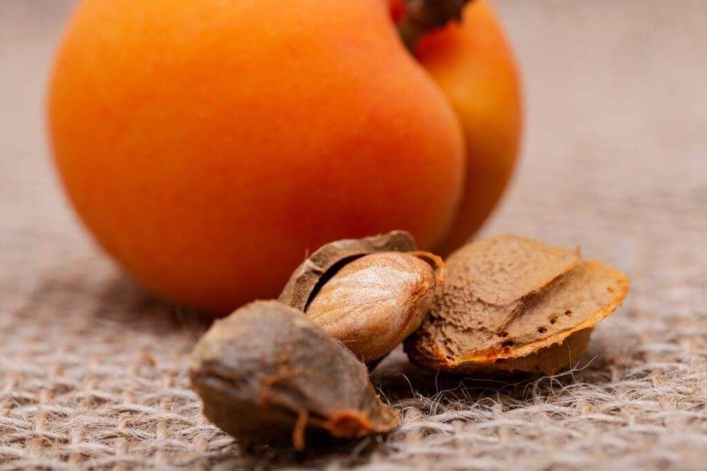 10 Kebaikan Biji Aprikot