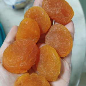 buah aprikot