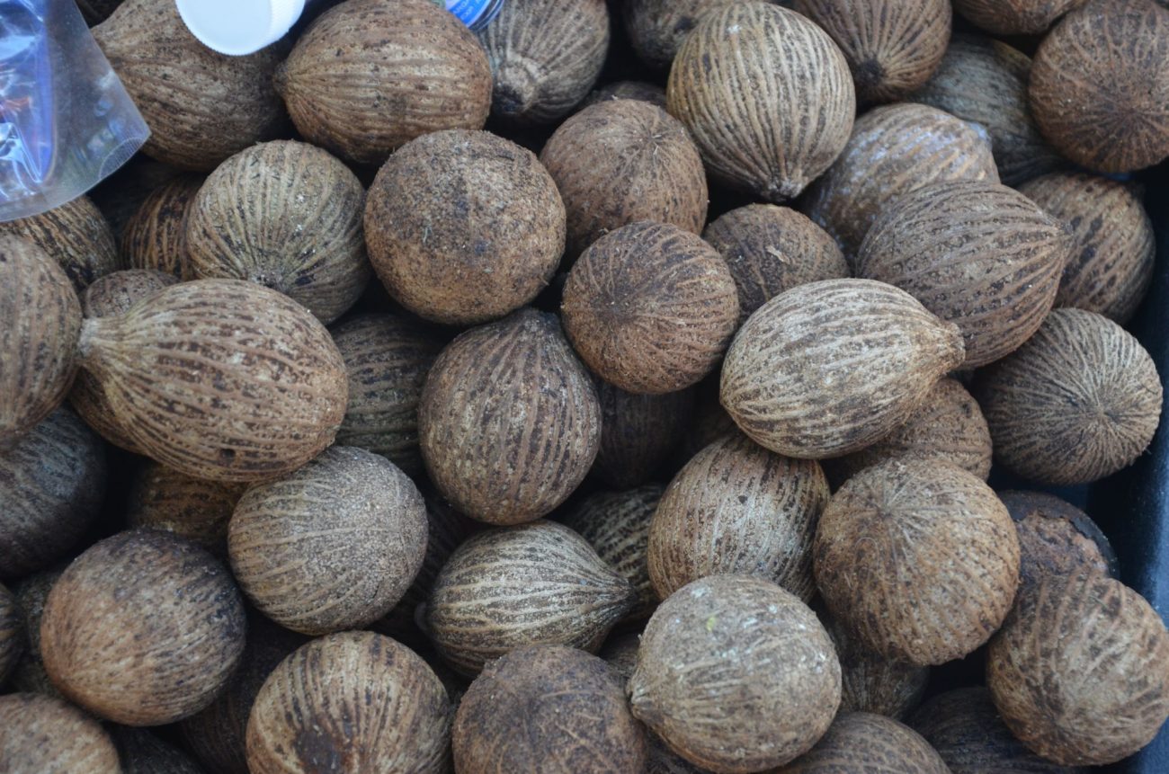 cara rebus buah kulim