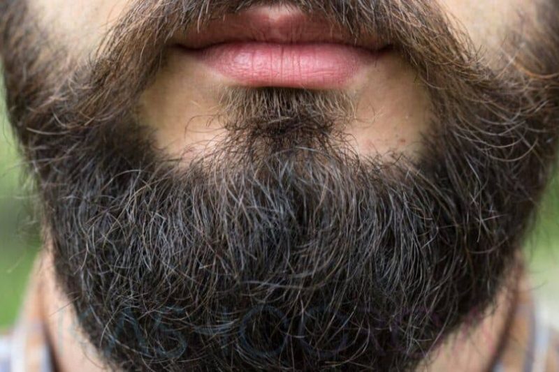 Petua Lebatkan JAMBANG