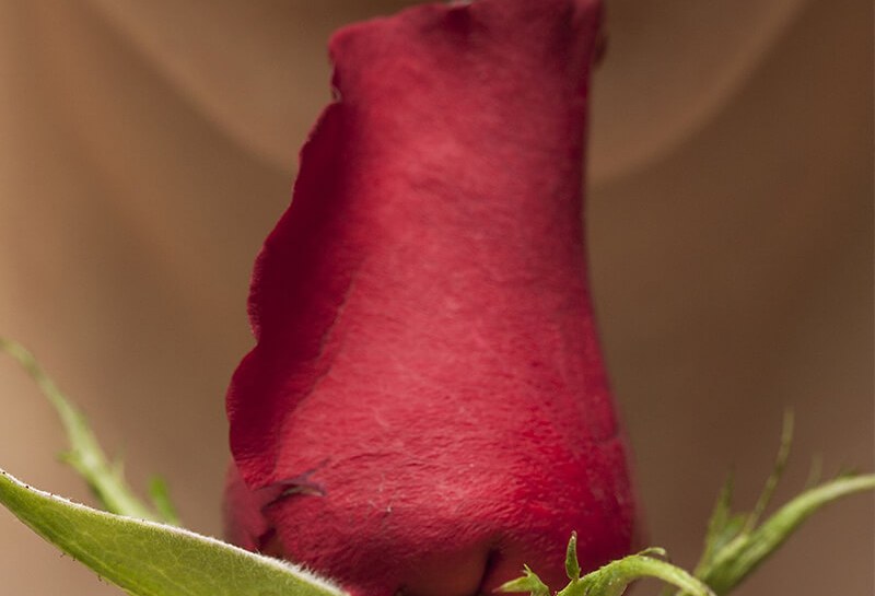 Penjagaan Alat Sulit Wanita