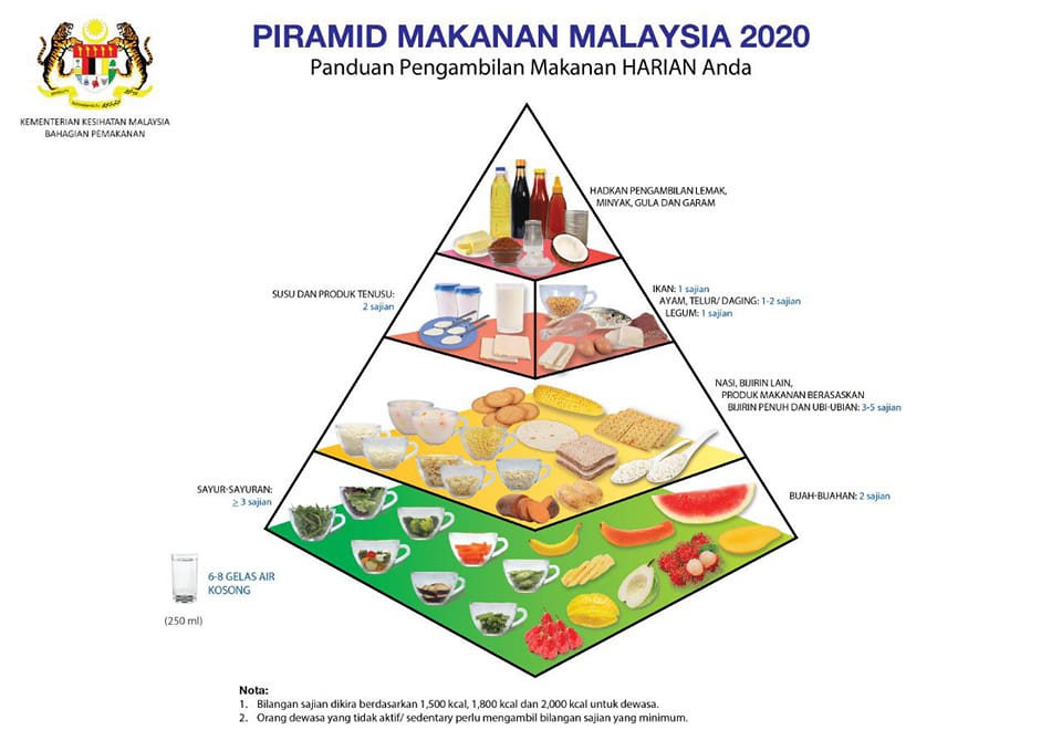 Piramid Makanan 2024
