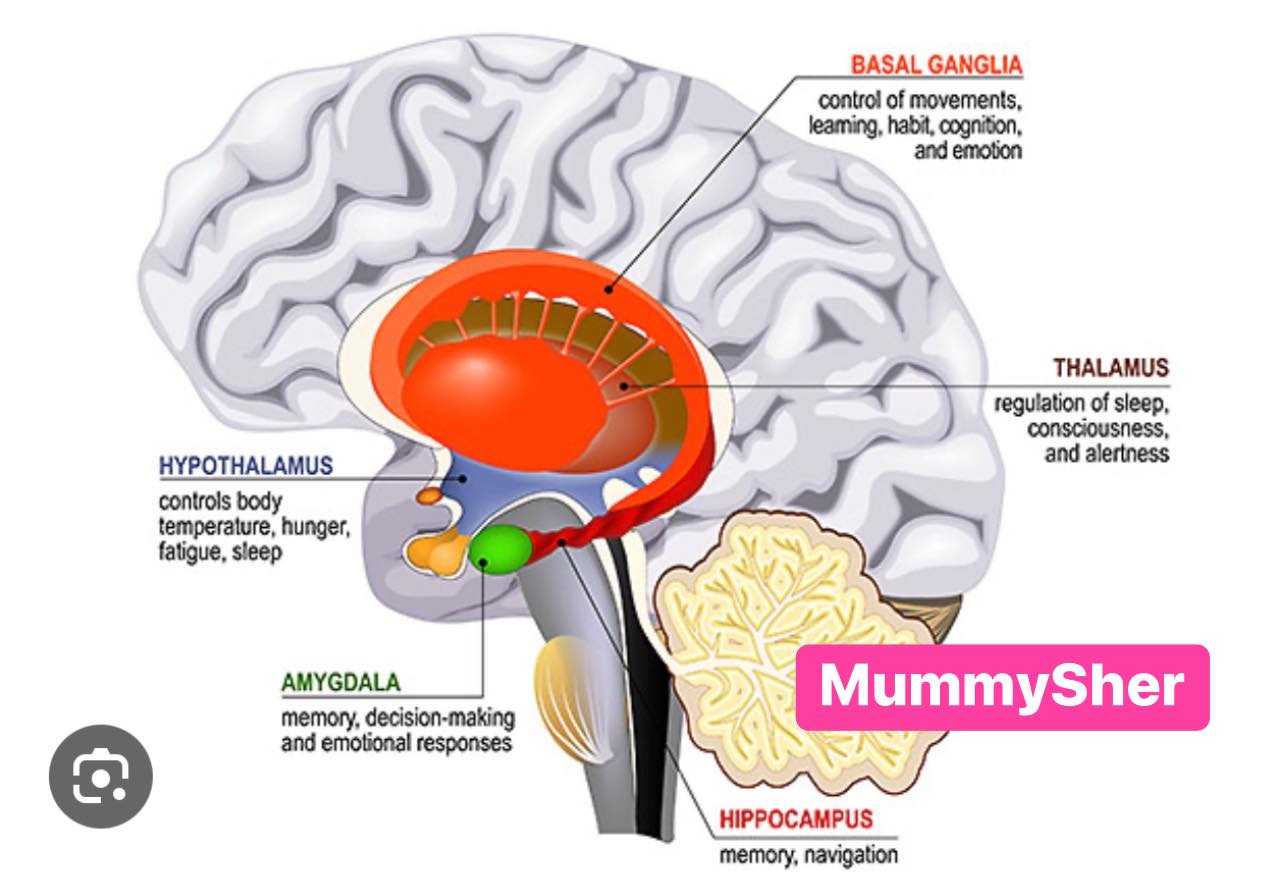 Penat Fizikal Mental ?