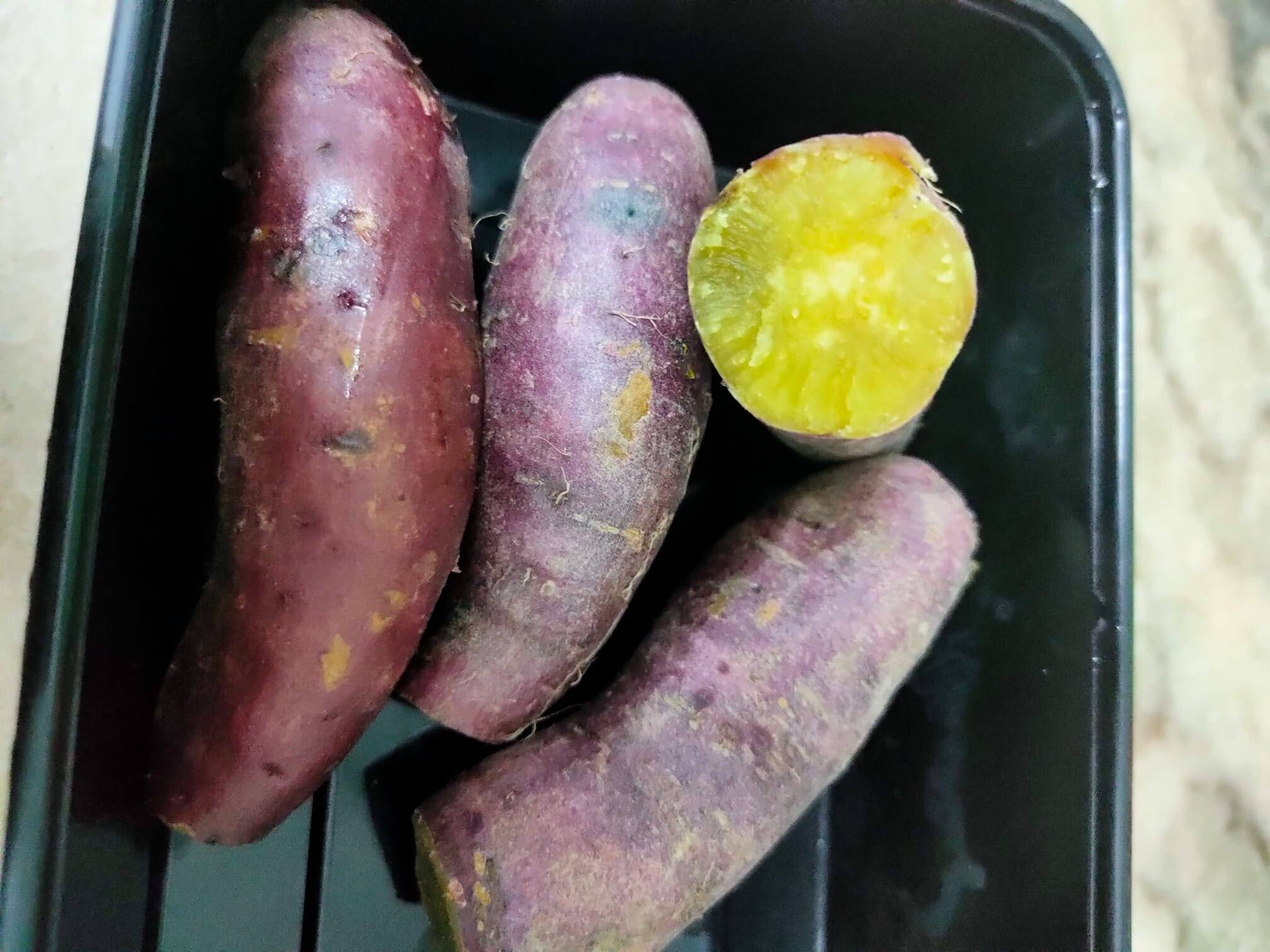 Ubi Keledek Manis Jepun