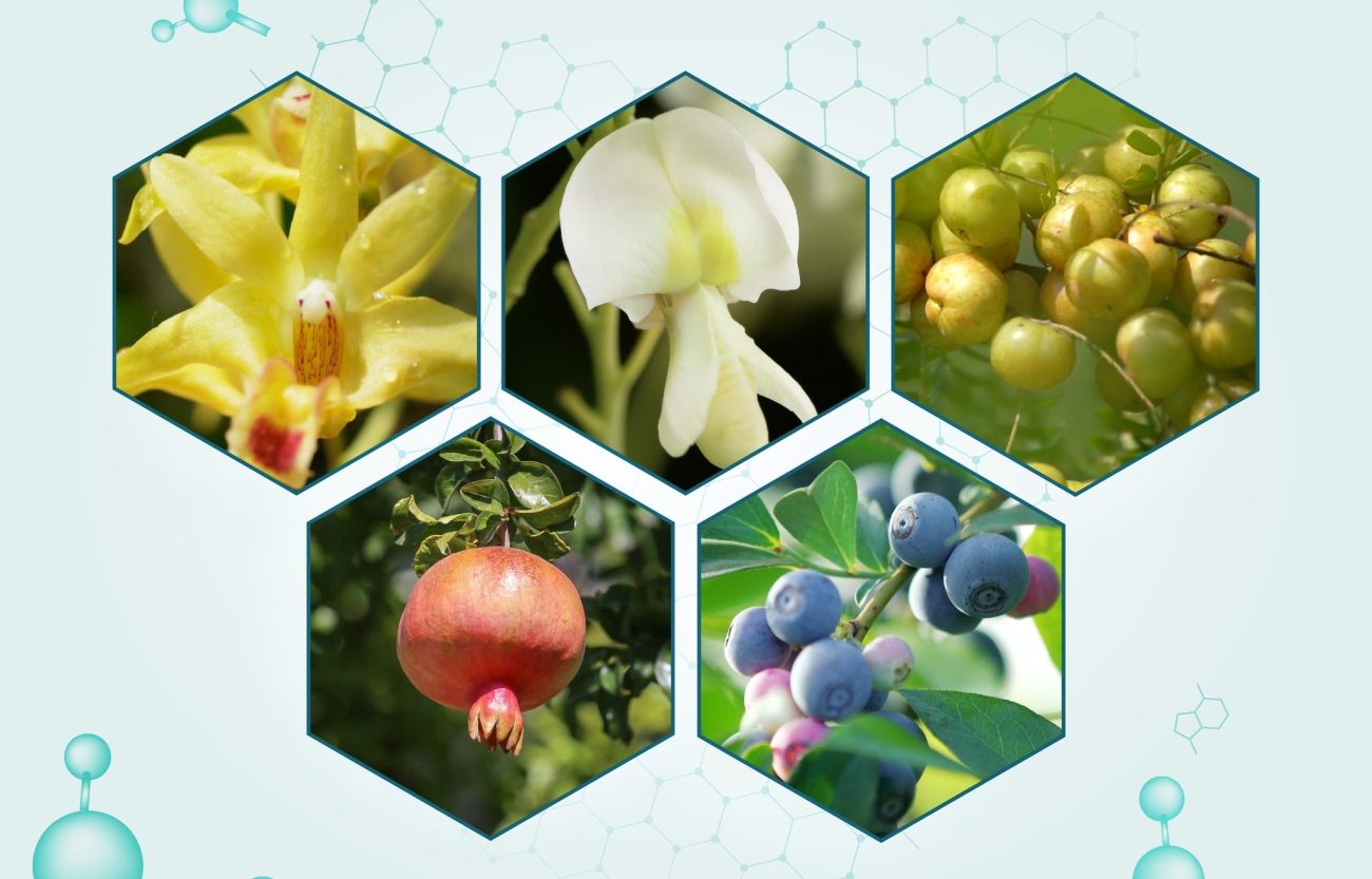 tumbuhan lindungi sel